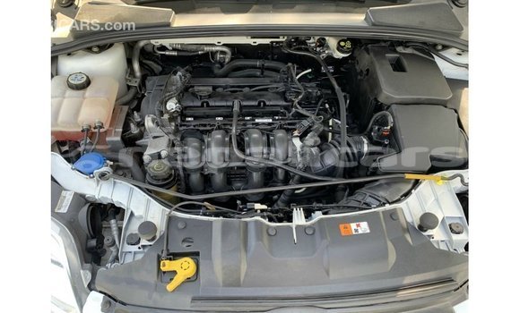 Buy Import Ford Focus White Car in Import - Dubai in Bagmati Buy Import Ford Focus White Car in Import - Dubai in Bagmati