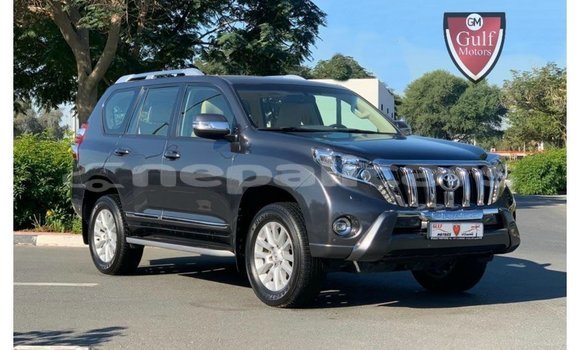 Buy Import Toyota Prado Other Car in Import - Dubai in Bagmati