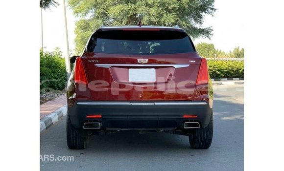 Buy Import Cadillac XT5 Red Car in Import - Dubai in Bagmati Buy Import Cadillac XT5 Red Car in Import - Dubai in Bagmati