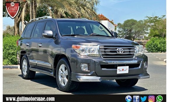 Buy Import Toyota Land Cruiser Other Car in Import - Dubai in Bagmati