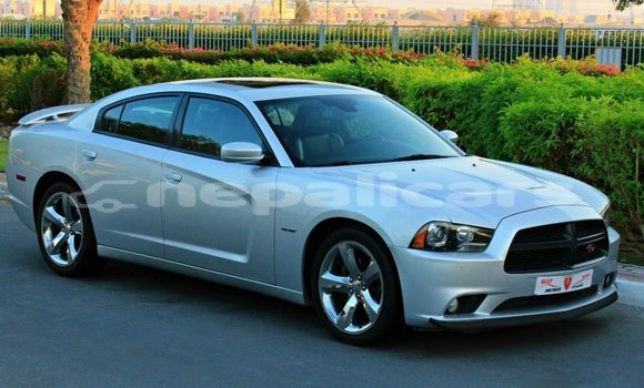 Buy Import Dodge Charger Other Car in Import - Dubai in Bagmati