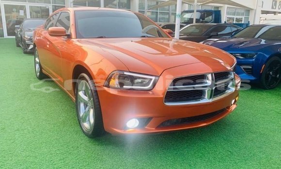 Buy Import Dodge Charger Other Car in Import - Dubai in Bagmati