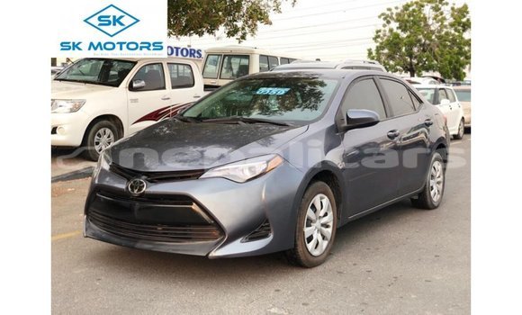 Buy Import Toyota Corolla Other Car in Import - Dubai in Bagmati