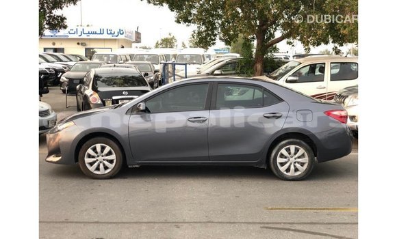 Buy Import Toyota Corolla Other Car in Import - Dubai in Bagmati Buy Import Toyota Corolla Other Car in Import - Dubai in Bagmati