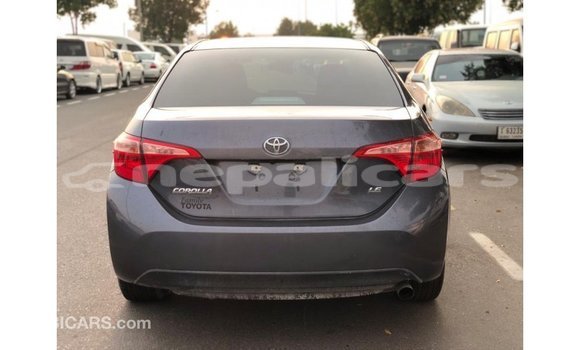 Buy Import Toyota Corolla Other Car in Import - Dubai in Bagmati Buy Import Toyota Corolla Other Car in Import - Dubai in Bagmati