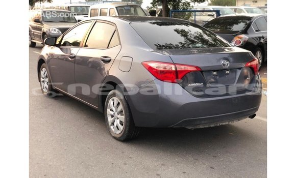 Buy Import Toyota Corolla Other Car in Import - Dubai in Bagmati Buy Import Toyota Corolla Other Car in Import - Dubai in Bagmati