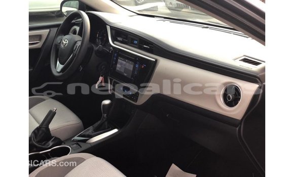 Buy Import Toyota Corolla Other Car in Import - Dubai in Bagmati Buy Import Toyota Corolla Other Car in Import - Dubai in Bagmati