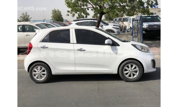 Buy Import Kia Picanto White Car in Import - Dubai in Bagmati Buy Import Kia Picanto White Car in Import - Dubai in Bagmati