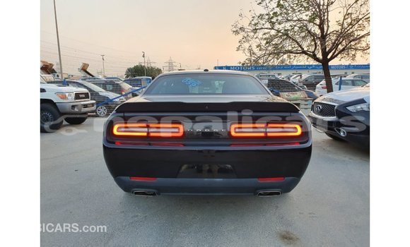 Buy Import Dodge Challenger Black Car in Import - Dubai in Bagmati Buy Import Dodge Challenger Black Car in Import - Dubai in Bagmati