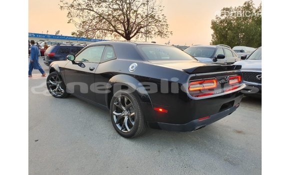 Buy Import Dodge Challenger Black Car in Import - Dubai in Bagmati Buy Import Dodge Challenger Black Car in Import - Dubai in Bagmati