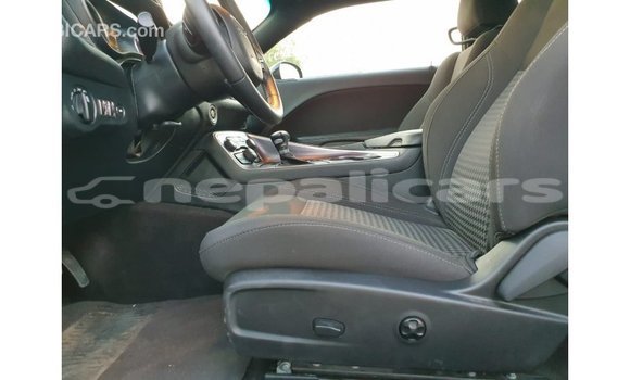 Buy Import Dodge Challenger Black Car in Import - Dubai in Bagmati Buy Import Dodge Challenger Black Car in Import - Dubai in Bagmati