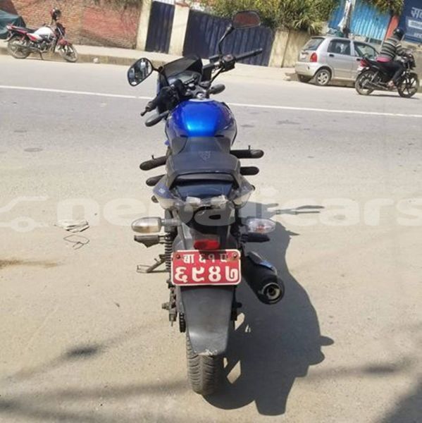 Big with watermark 52151385 2297963470291027 2851031748152655872 n