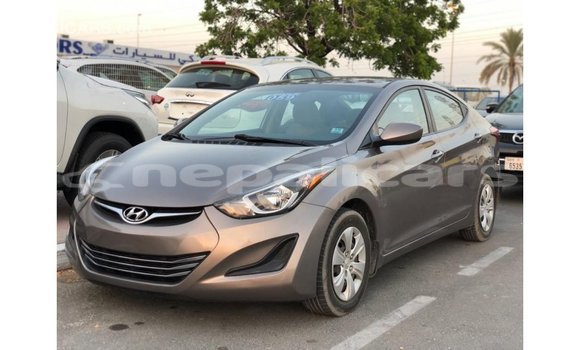 Buy Import Hyundai Elantra Brown Car in Import - Dubai in Bagmati Buy Import Hyundai Elantra Brown Car in Import - Dubai in Bagmati