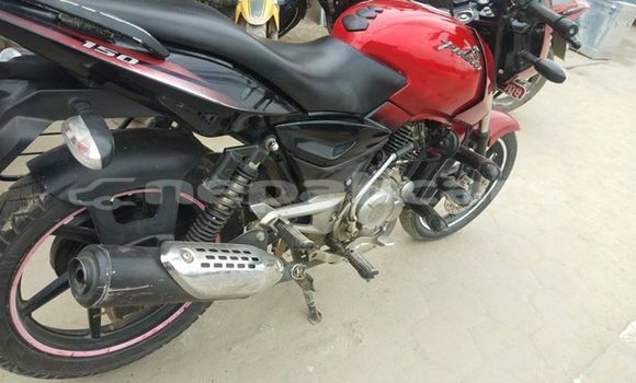 Buy Used Bajaj PULSAR Red Bike in Kathmandu in Bagmati Buy Used Bajaj PULSAR Red Bike in Kathmandu in Bagmati