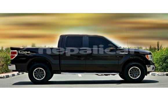 Buy Import Ford Club Wagon Brown Car in Import - Dubai in Bagmati Buy Import Ford Club Wagon Brown Car in Import - Dubai in Bagmati