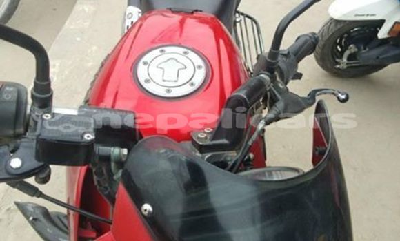 Buy Used Bajaj PULSAR Red Bike in Kathmandu in Bagmati Buy Used Bajaj PULSAR Red Bike in Kathmandu in Bagmati