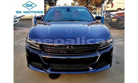 Buy Import Dodge Charger Blue Car in Import - Dubai in Bagmati