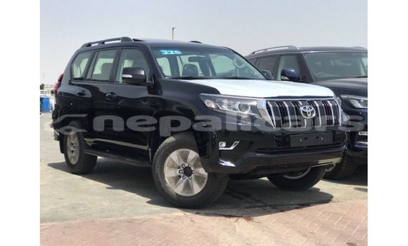 Buy Import Toyota Prado Black Car in Import - Dubai in Bagmati
