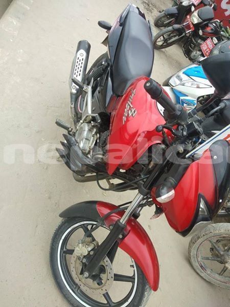 Big with watermark 52369183 1985002601626400 2421531518154309632 n