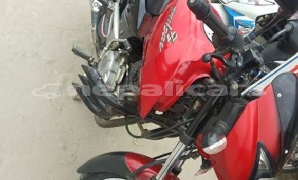Buy Used Bajaj PULSAR Red Bike in Kathmandu in Bagmati Buy Used Bajaj PULSAR Red Bike in Kathmandu in Bagmati