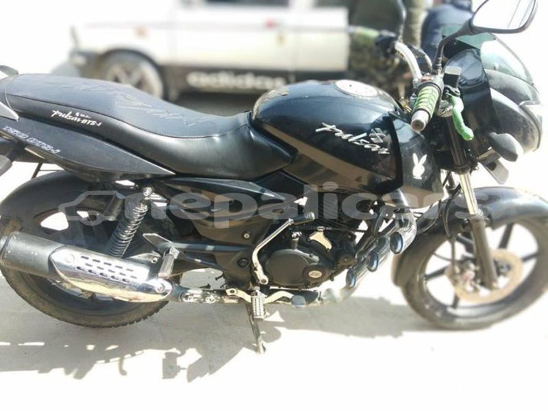 Big with watermark 51791262 1981849608608366 3658722961168269312 o