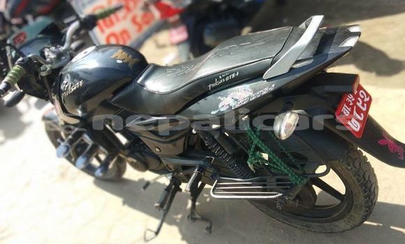 Buy Used Bajaj PULSAR Black Bike in Kathmandu in Bagmati Buy Used Bajaj PULSAR Black Bike in Kathmandu in Bagmati
