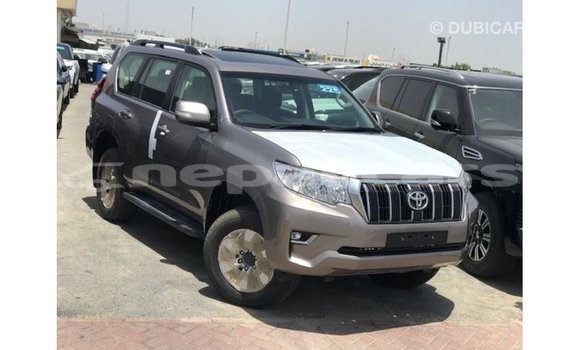 Buy Import Toyota Prado Brown Car in Import - Dubai in Bagmati Buy Import Toyota Prado Brown Car in Import - Dubai in Bagmati