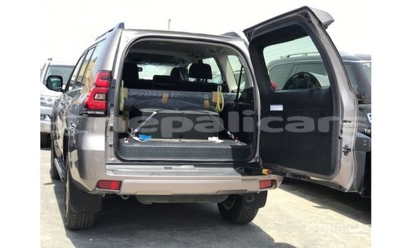 Buy Import Toyota Prado Brown Car in Import - Dubai in Bagmati Buy Import Toyota Prado Brown Car in Import - Dubai in Bagmati