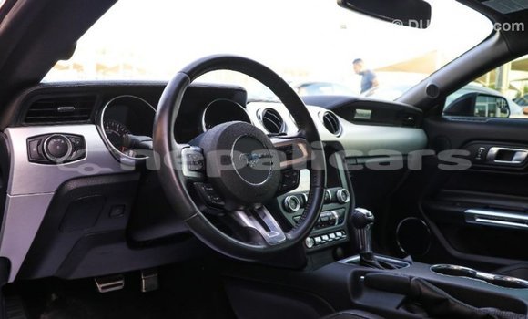 Buy Import Ford Mustang Black Car in Import - Dubai in Bagmati Buy Import Ford Mustang Black Car in Import - Dubai in Bagmati