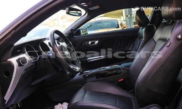 Buy Import Ford Mustang Black Car in Import - Dubai in Bagmati Buy Import Ford Mustang Black Car in Import - Dubai in Bagmati