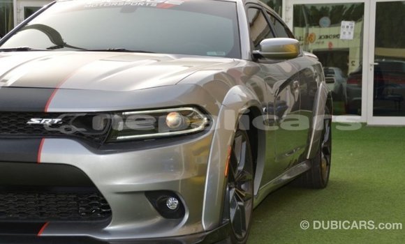 Buy Import Dodge Charger Other Car in Import - Dubai in Bagmati Buy Import Dodge Charger Other Car in Import - Dubai in Bagmati