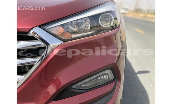 Buy Import Hyundai Tucson Red Car in Import - Dubai in Bagmati Buy Import Hyundai Tucson Red Car in Import - Dubai in Bagmati