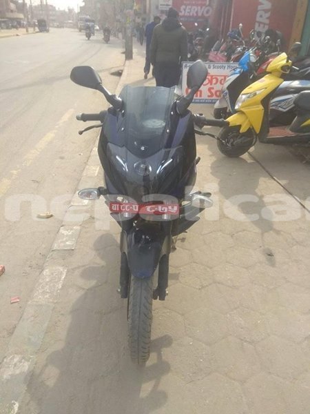 Big with watermark 50883596 1964929543633706 7166505713399758848 n