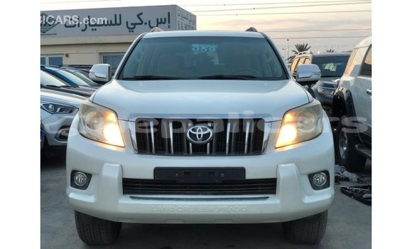 Buy Import Toyota Prado White Car in Import - Dubai in Bagmati Buy Import Toyota Prado White Car in Import - Dubai in Bagmati