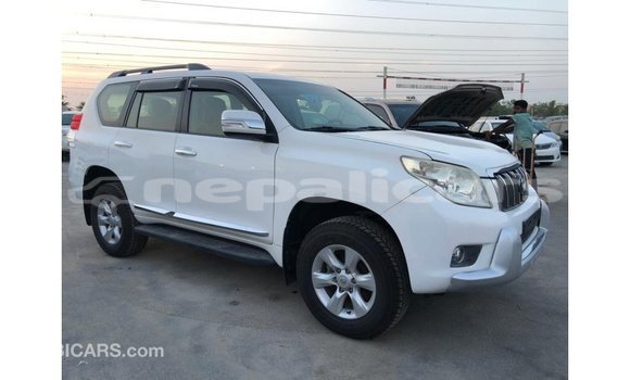 Buy Import Toyota Prado White Car in Import - Dubai in Bagmati Buy Import Toyota Prado White Car in Import - Dubai in Bagmati