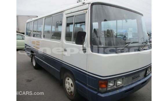 Buy Import Toyota Coaster White Car in Import - Dubai in Bagmati Buy Import Toyota Coaster White Car in Import - Dubai in Bagmati