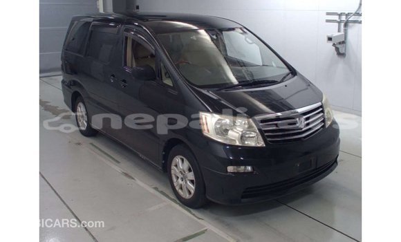 Buy Import Toyota Alphard Black Car in Import - Dubai in Bagmati Buy Import Toyota Alphard Black Car in Import - Dubai in Bagmati