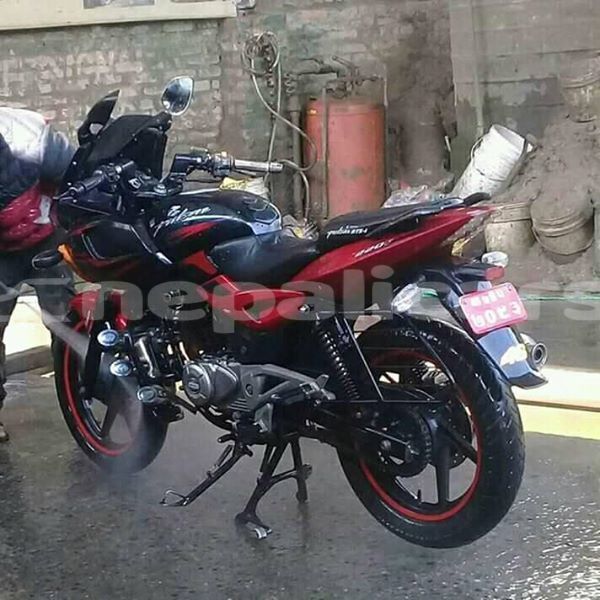 Big with watermark 44934528 1837572566369405 7175438687029690368 n