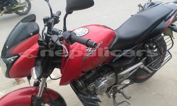 Buy Used Bajaj PULSAR Red Bike in Kathmandu in Bagmati Buy Used Bajaj PULSAR Red Bike in Kathmandu in Bagmati