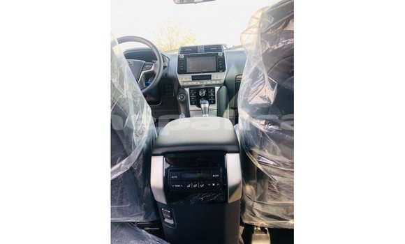Buy Import Toyota Prado Brown Car in Import - Dubai in Bagmati Buy Import Toyota Prado Brown Car in Import - Dubai in Bagmati