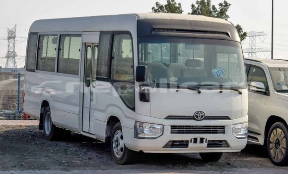 Buy Import Toyota Coaster White Car in Import - Dubai in Bagmati Buy Import Toyota Coaster White Car in Import - Dubai in Bagmati