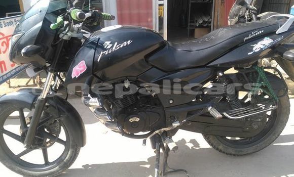 Buy Used Bajaj PULSAR Black Bike in Kathmandu in Bagmati Buy Used Bajaj PULSAR Black Bike in Kathmandu in Bagmati
