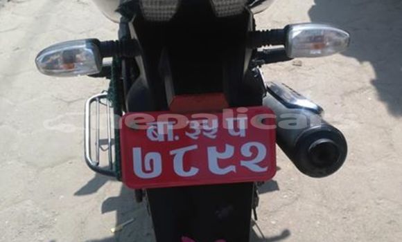 Buy Used Bajaj PULSAR Black Bike in Kathmandu in Bagmati Buy Used Bajaj PULSAR Black Bike in Kathmandu in Bagmati