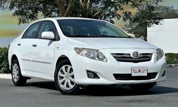 Buy Import Toyota Corolla White Car in Import - Dubai in Bagmati Buy Import Toyota Corolla White Car in Import - Dubai in Bagmati