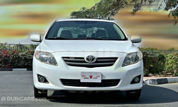 Buy Import Toyota Corolla White Car in Import - Dubai in Bagmati Buy Import Toyota Corolla White Car in Import - Dubai in Bagmati
