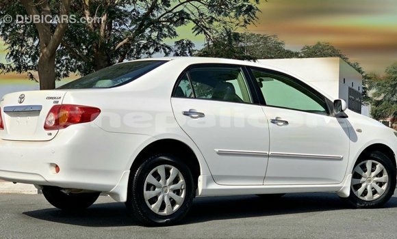 Buy Import Toyota Corolla White Car in Import - Dubai in Bagmati Buy Import Toyota Corolla White Car in Import - Dubai in Bagmati