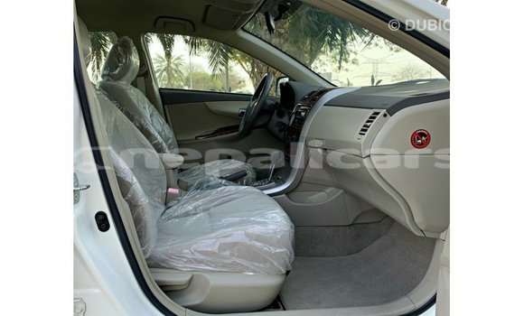 Buy Import Toyota Corolla White Car in Import - Dubai in Bagmati Buy Import Toyota Corolla White Car in Import - Dubai in Bagmati