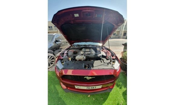 Buy Import Ford Mustang Red Car in Import - Dubai in Bagmati Buy Import Ford Mustang Red Car in Import - Dubai in Bagmati