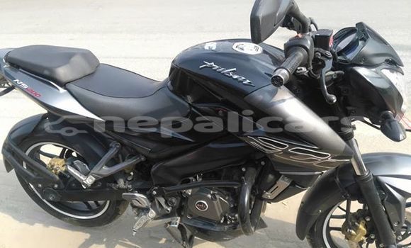 Buy Used Bajaj PULSAR Black Bike in Kathmandu in Bagmati Buy Used Bajaj PULSAR Black Bike in Kathmandu in Bagmati