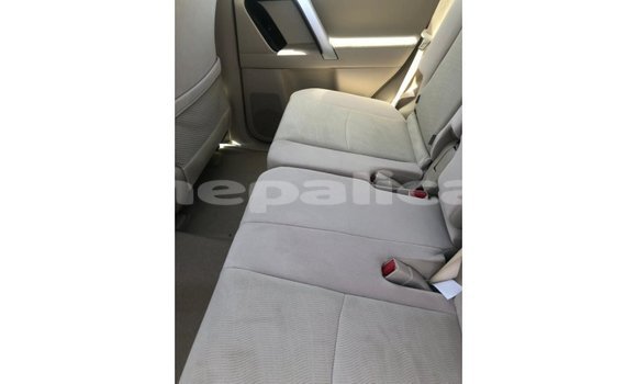 Buy Import Toyota Prado White Car in Import - Dubai in Bagmati Buy Import Toyota Prado White Car in Import - Dubai in Bagmati